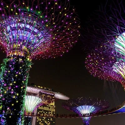 Gardens by the Bay