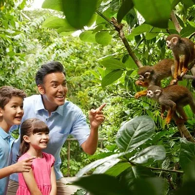 Singapore Zoo