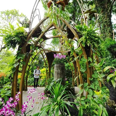 Singapore Botanic Gardens